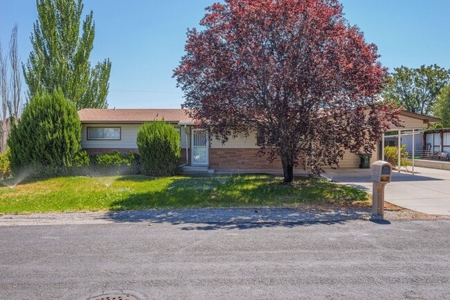 Building Photo - 718 Brassie Dr