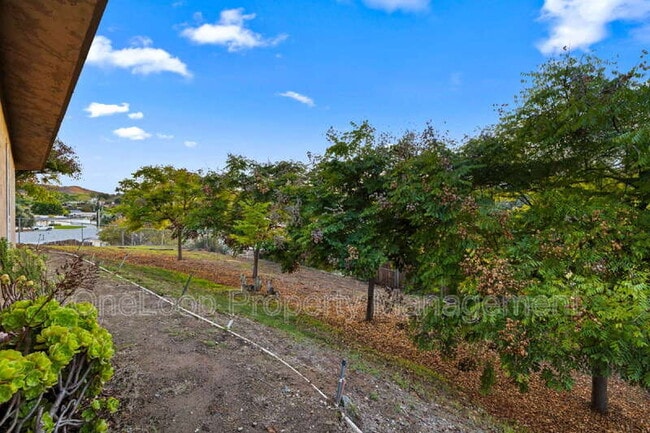 Photo - 8823 Los Coches Rd