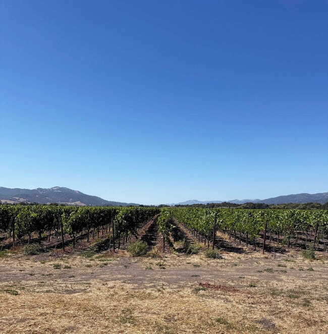 Photo - Spacious Two-Story Ranch Home Near Sonoma