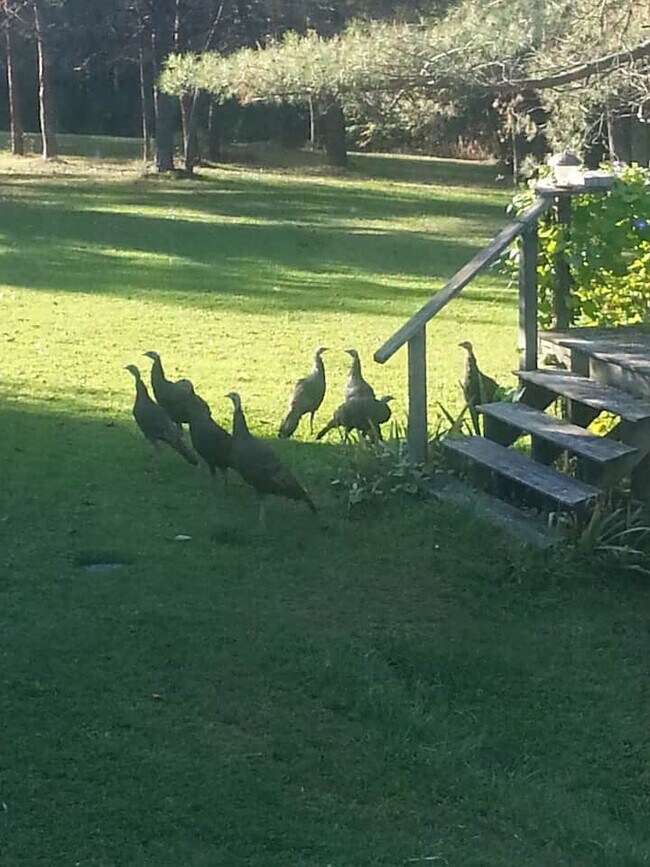 Photo - 1469 Oak Hill Rd