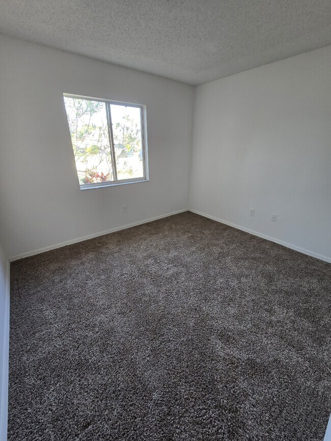 Photo - 12023 Cedarfield Dr