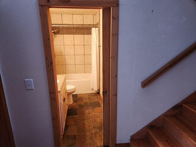 Downstairs Bathroom - 23045 Schussmark Trl