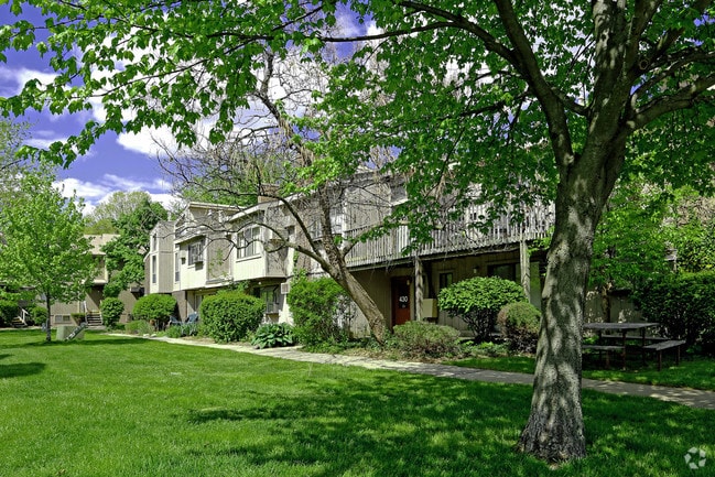 Amber's Timber Lodges - Amber's Timber Lodges