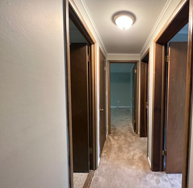 Photo - 1909 Storrs Rd