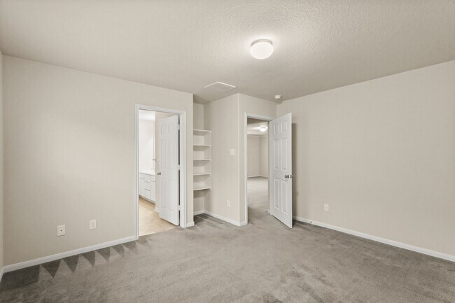16799 Blackberry Lily Ln