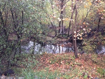 View from private wooden deck overlooking creek. - 85 Sherwood Dr Unit Studio