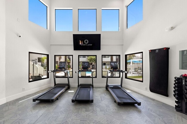 Cortland Scottsdale Mountain