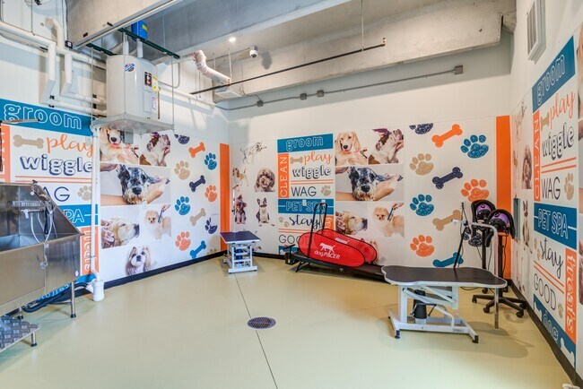 Pet Spa