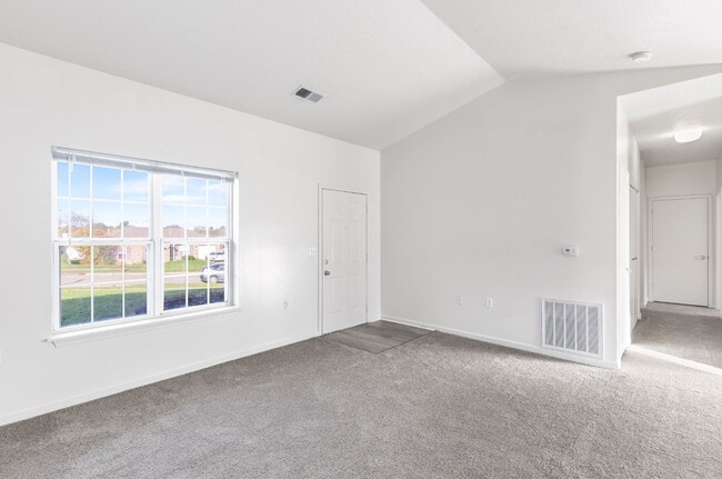 Photo - Vienna Woods