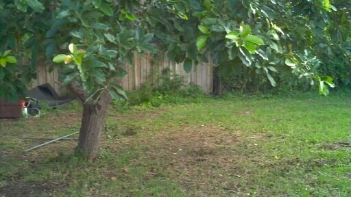 Photo - 802 NE 38th St