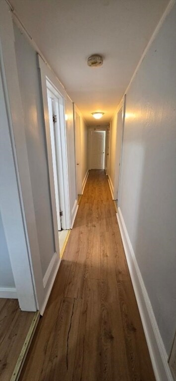 Photo - 15A Linden St Unit 2