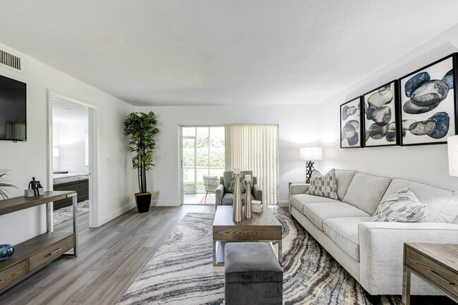 Photo - Sole at Sunrise