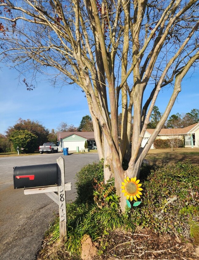 Photo - Adorable back yard in Gulf Shores - 3/2