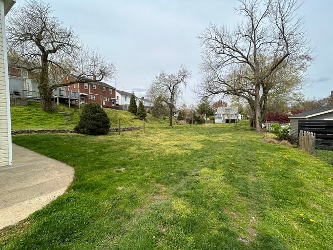 Backyard - 505 Hawke St Unit 1