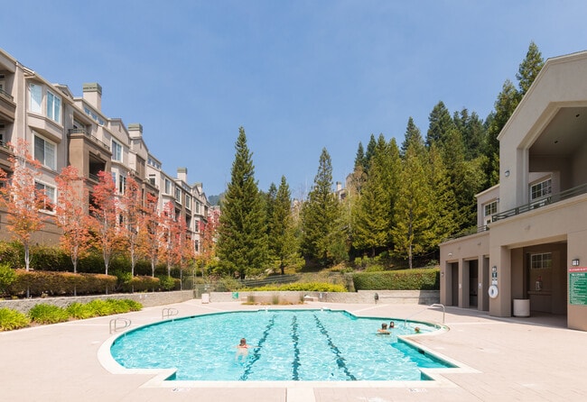 Pool and Buildings - 240 Caldecott Ln Unit 108