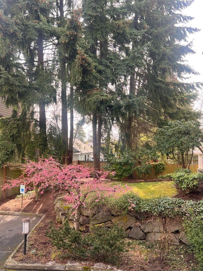 Lakeview Court Apartments