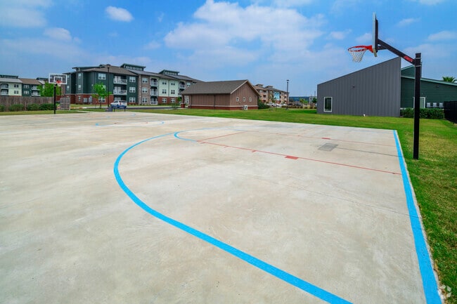 Basketball Court