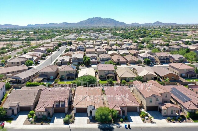 Photo - 3943 E Ficus Way