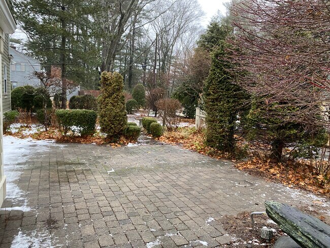 Patio in back yard - 54 Bowden Ave