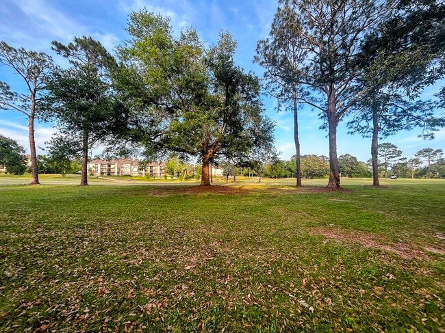 Photo - 2729 Blair stone Ln