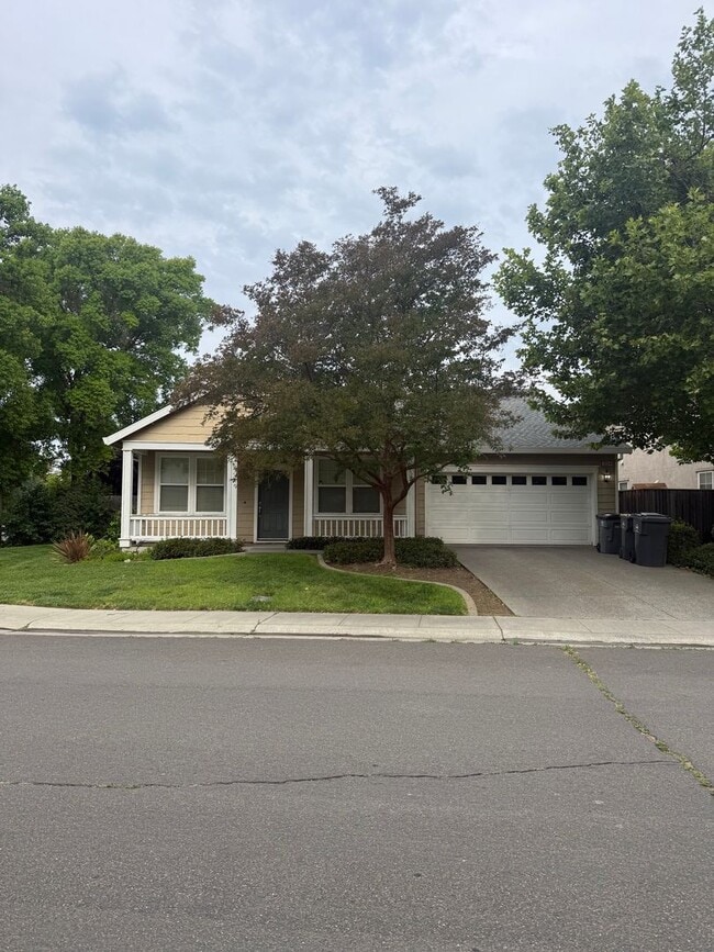 Photo - Beautiful Large 3 Bedroom Home w/ Bonus Room in Wildhorse-$500 off 1st Month's Rent