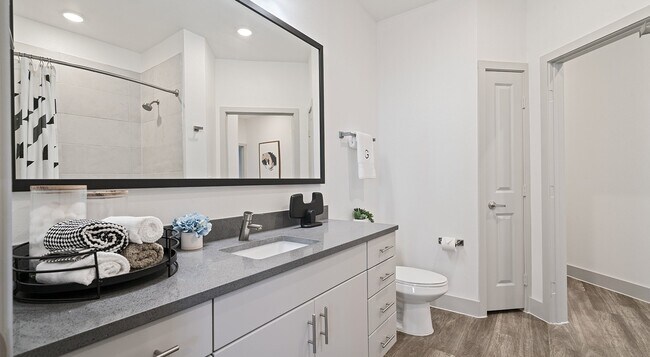 Building Photo - 1700 Katy Fort Bend Rd Unit 10205