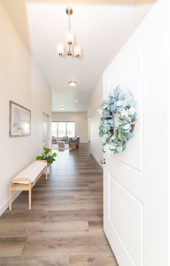 Photo - Beautiful Rambler