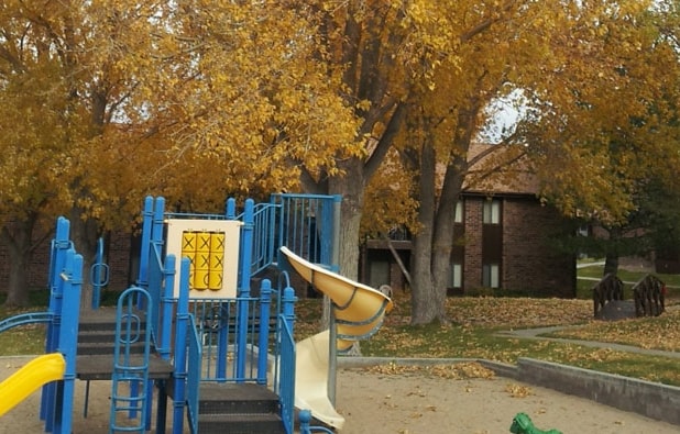 Play Area