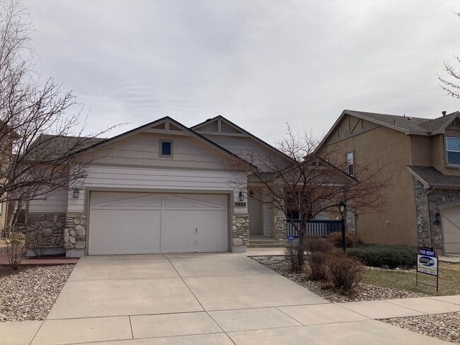 Photo - 3885 Cherry Plum Dr