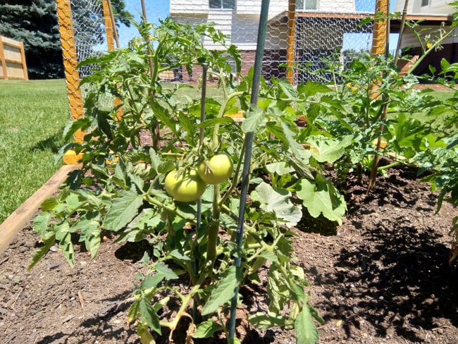 Building Photo - 8840 W Jewell Ave