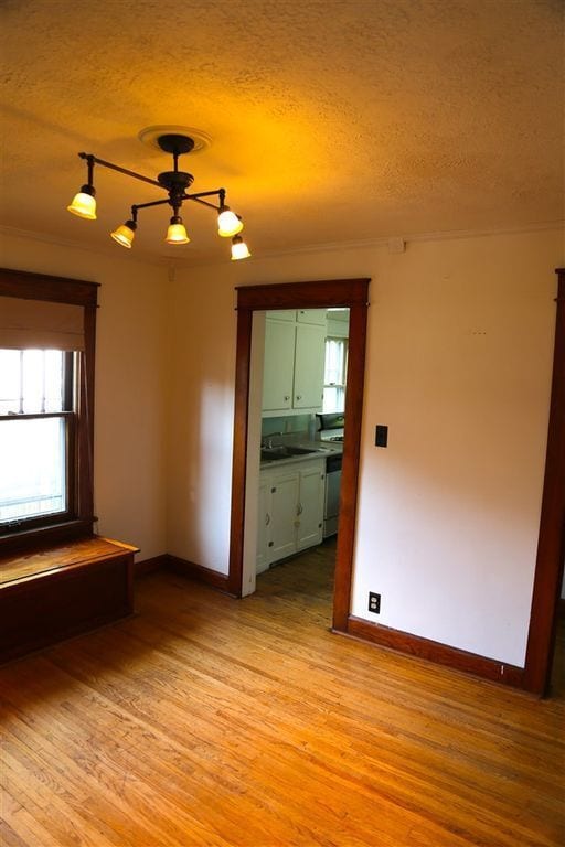 Photo - 2 bedroom, 1 bath Home - MUST SEE!