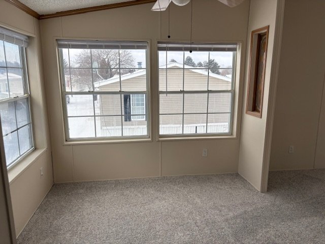 352 Chinkapin Trail