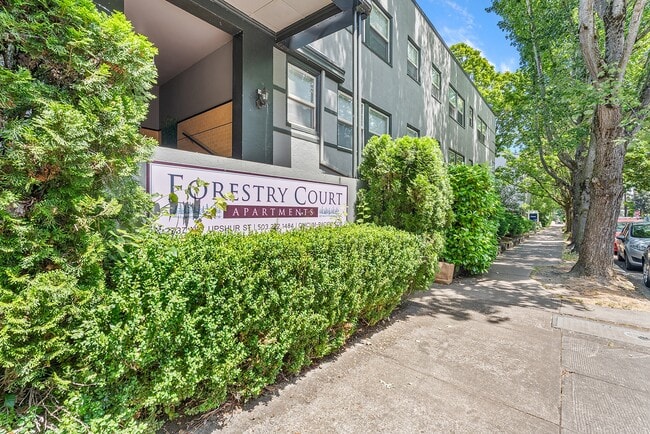 Photo - Forestry Court