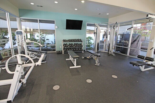 Photo - University Court