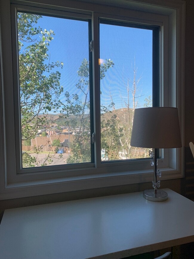 1680 Upper Iron Horse Loop Rd Unit D1