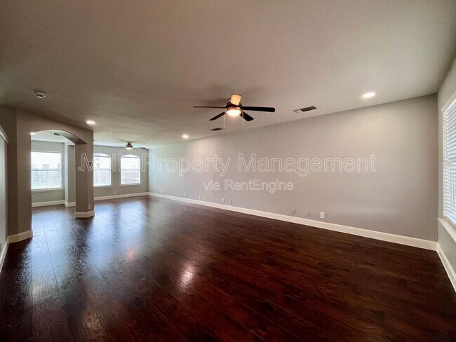 Photo - 8734 Snow Goose