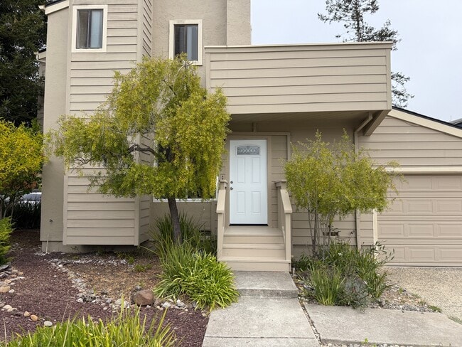 Building Photo - 2069 Dolphin Dr