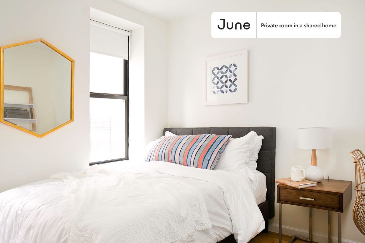 Private bedroom in 4 bed/2 bath Home - Private bedroom in 4 bed/2 bath Home