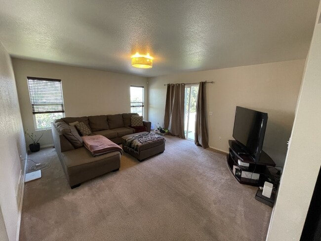 Photo - 3 bedroom - Menagerie