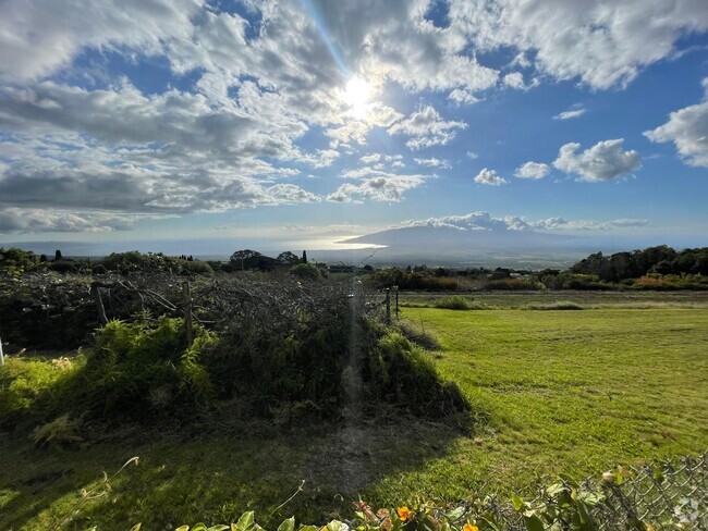 Building Photo - Quiet upcountry Studio Ohana in upper Kula Rental