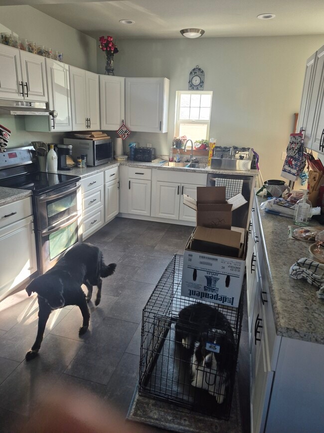 Photo - 353 S Ludington St