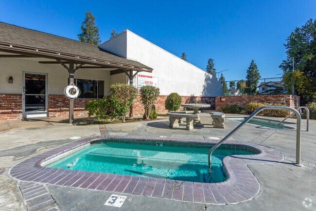 Swim Spa