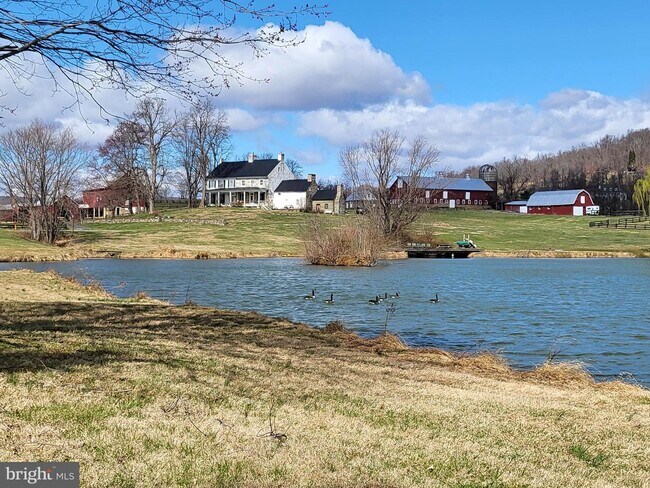 Photo - 16471 Hillsboro Rd House
