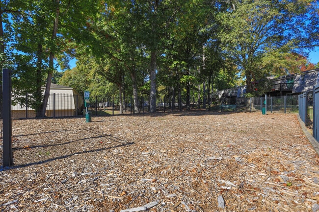 Dog Park