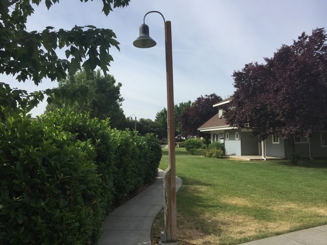 Mason Grove - Mason Grove