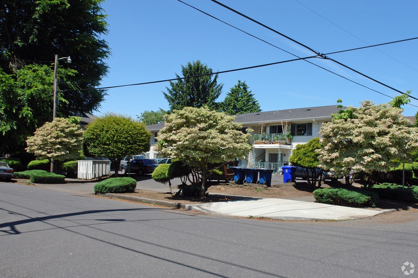 The Lamplighter - The Lamplighter