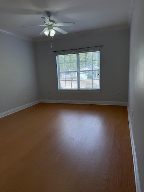 Photo - 317 Nathey Ave