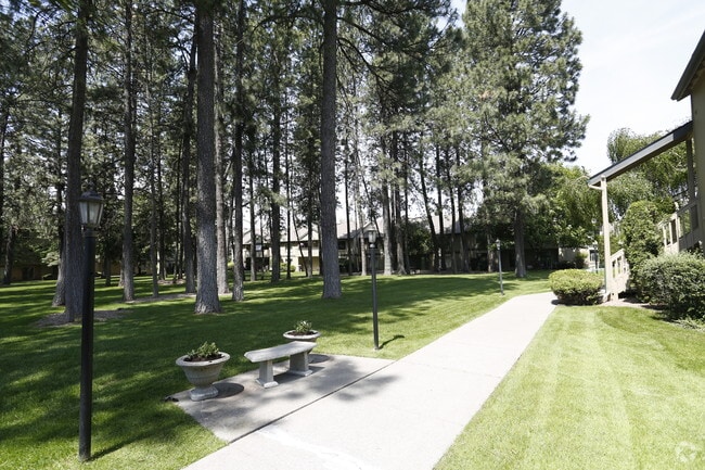 Nuestro hermoso patio