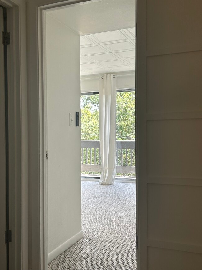 161 Hummingbird St