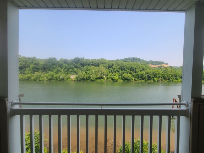 Photo - 4 Bedroom, 4 Bath in Star City - Available NOW - 7/24/26!